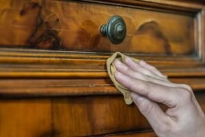 ROBUST Termite Killer