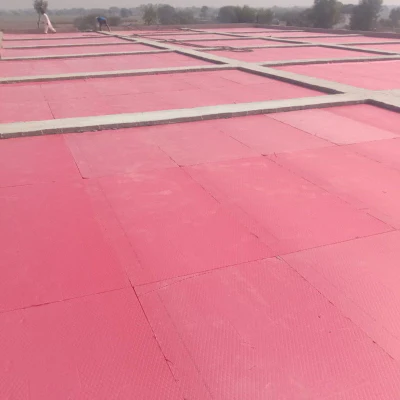 Premium XPS Jambolon Sheet | Strong Thermal & Water-Resistant Insulation for Roofs & Walls in Pakistan